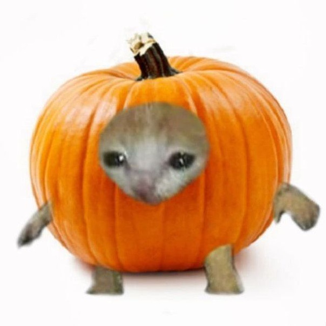 я сделала спуки скери-