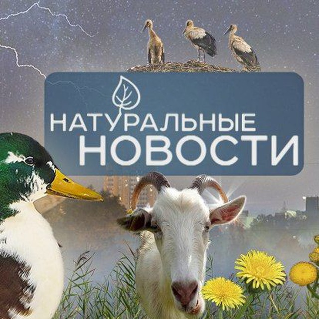 Натуральные новости???