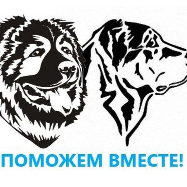 Поможем вместе 39