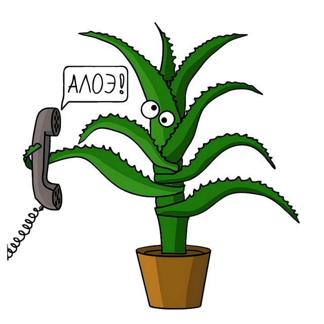 Буквальность