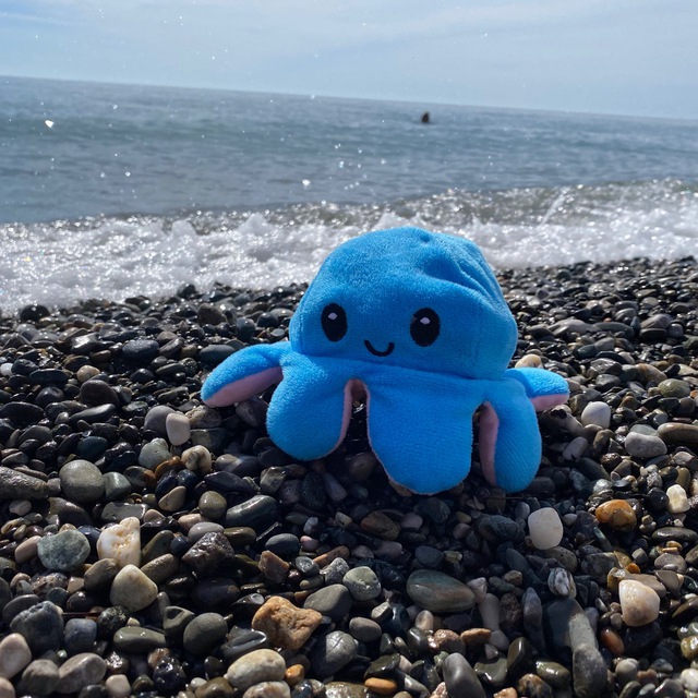 Я придумал! Дневник осьминожки?