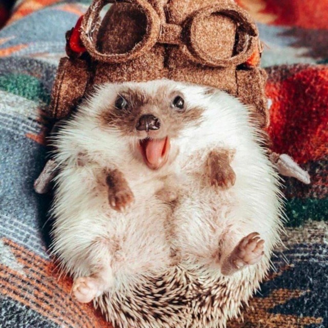 С добрым утром, отличного дня