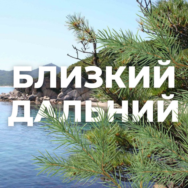 ДФО NEWs