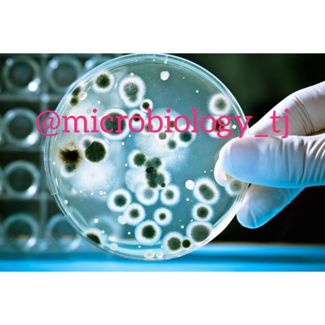 MICROBIOLOGY WORLD?