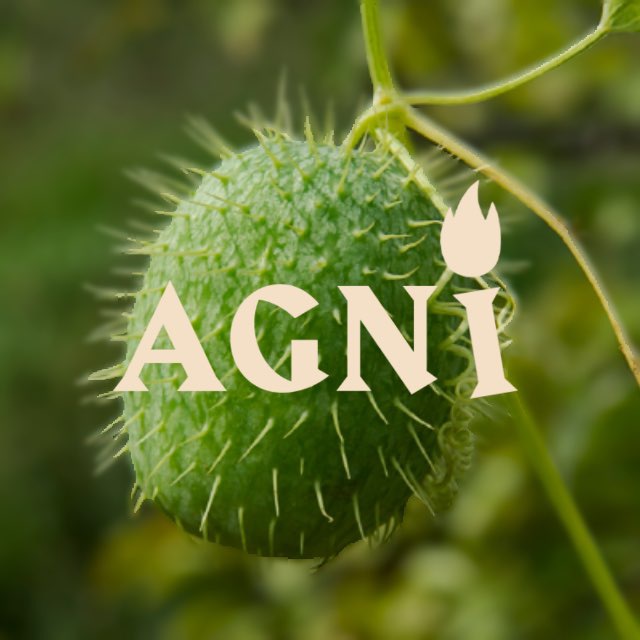 AGNI AGENCY