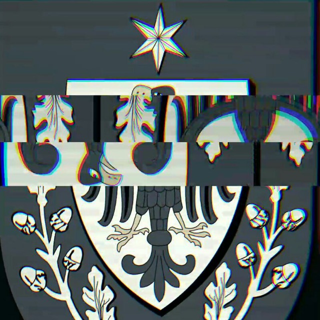 GROUNDORDER66 ?️