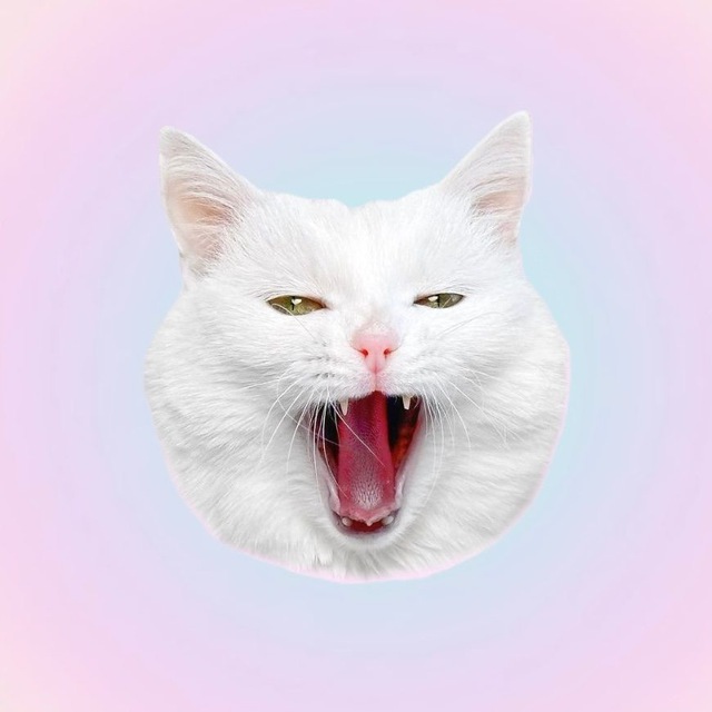 SOFIADELMONSTRO