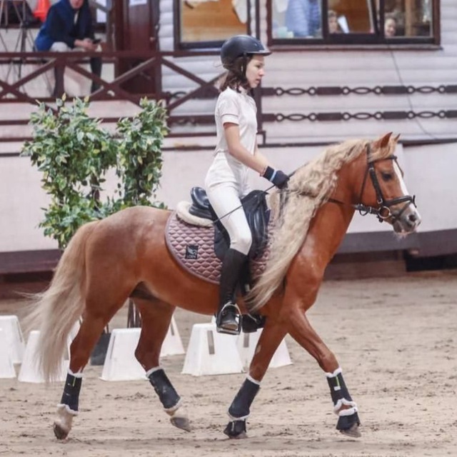 ꧁༺????.ℎ????.????༻꧂