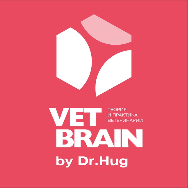 Vet Brain