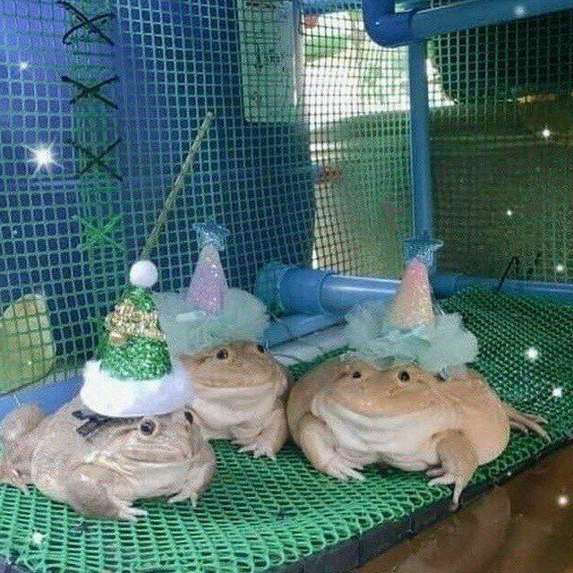 лягушатник
