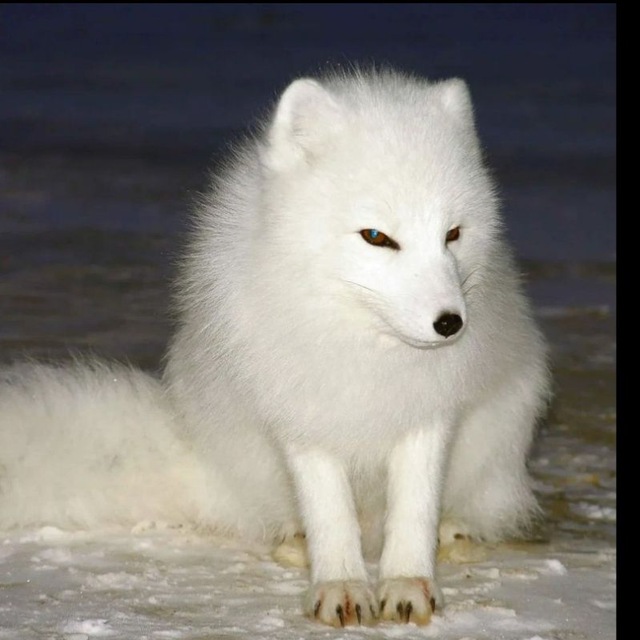 Нам здесь жить