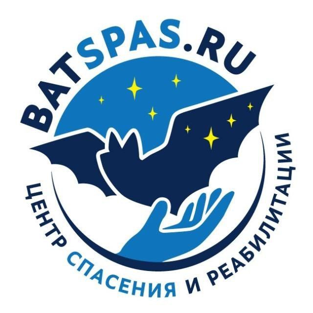 ? batspas ?