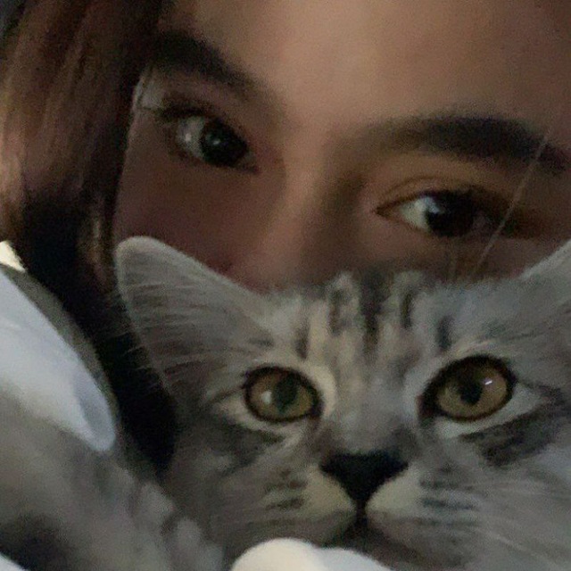 nomnøm