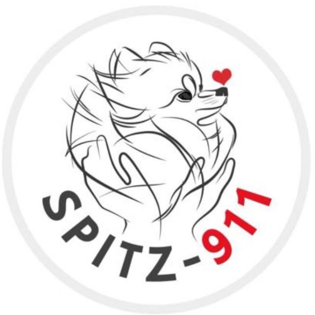 Spitz_911