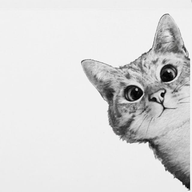 Донецк Инфо