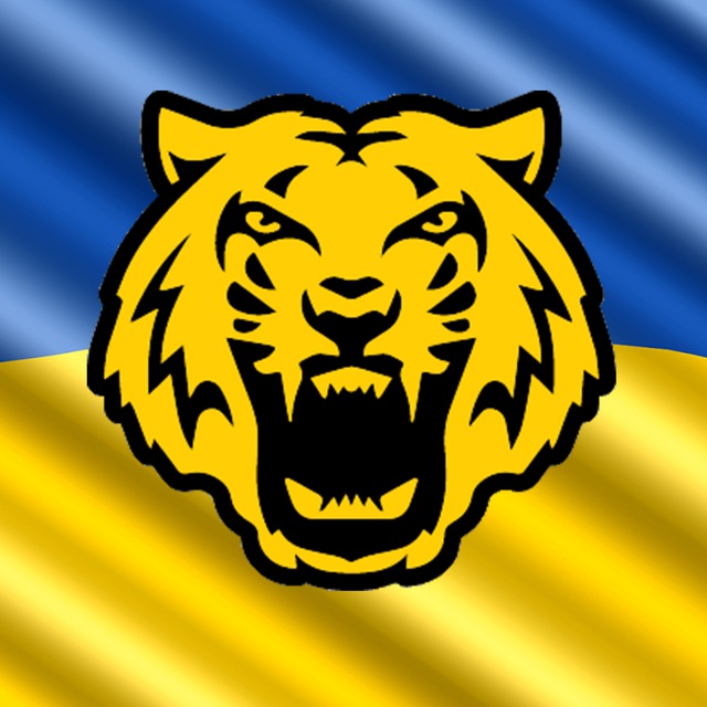 ФК ЧЕРНІГІВ?