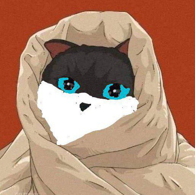 Кэтич