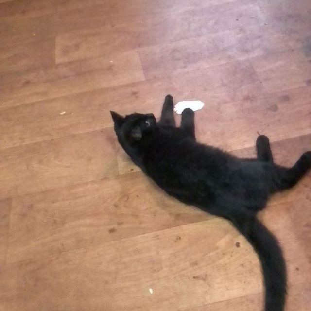 Ассорти (ah)z