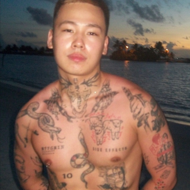 Vlad hoshin