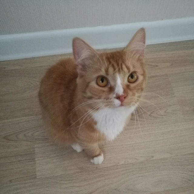 Помоги мне вернуться домой