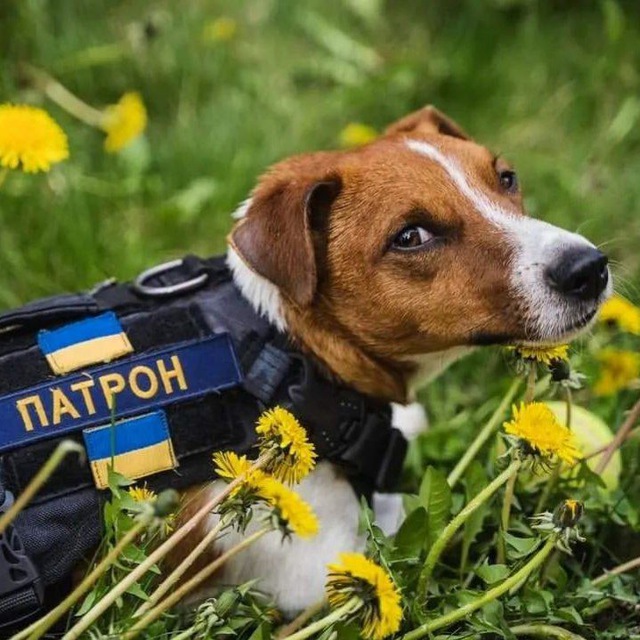 Зроблено в Україні