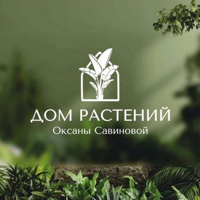 Дом растений Оксаны Савиновой ?