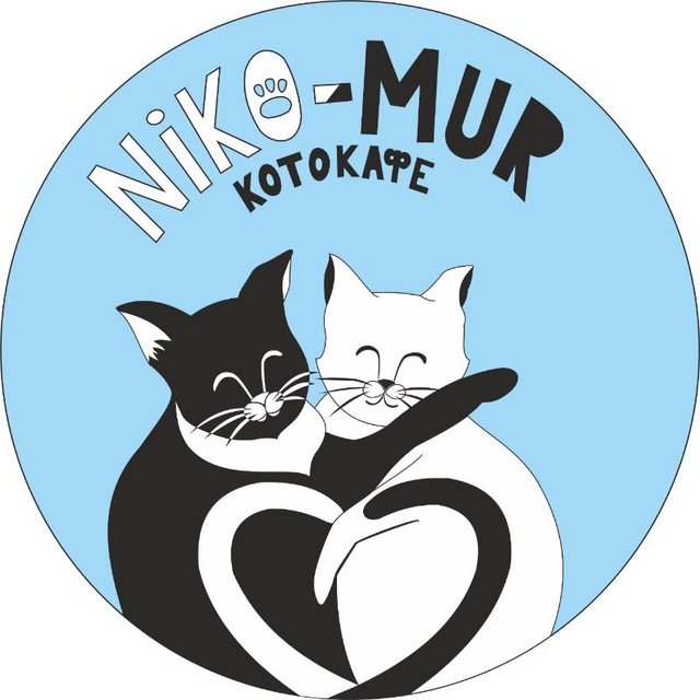 Котокафе Nikomur Барнаул??‍⬛️