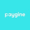 Paygine: финтех для бизнеса и людей