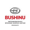 BUSHINUAUTO