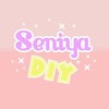 SeniyaDIY
