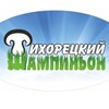 Тихорецкий шампиньон