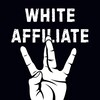 WHITE AFFILIATE | Арбитраж трафика