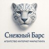 Сайты, Контекст, SMM | Снежный Барс | SnowBars