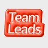 Yandex for Teamleads