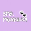 SPBPROGULKA