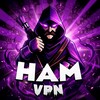 HAMVPN 📟